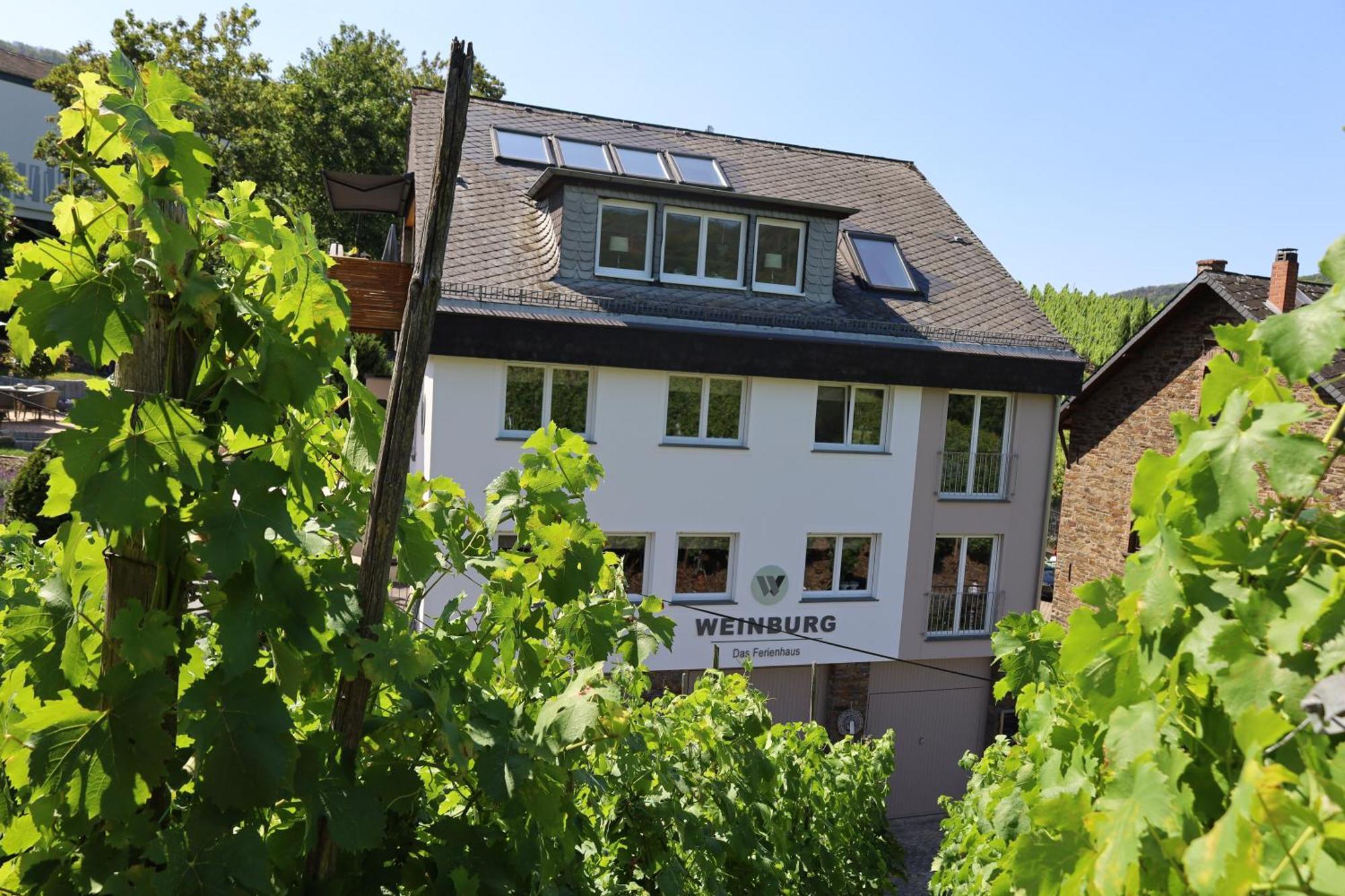 Weinburg -Das Ferienhaus Lägenhet Cochem Exteriör bild